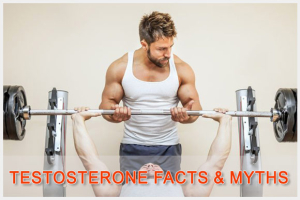 Testosterone Levels