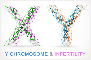 Y Chromosome Image