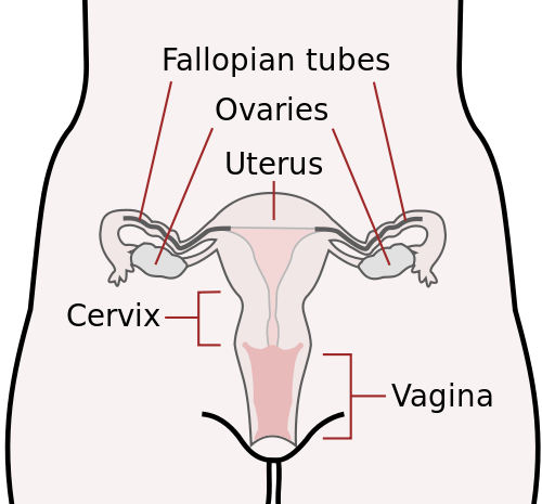 Healthy Sperm, Motality