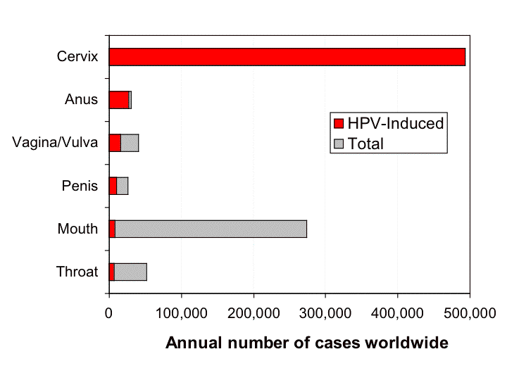 HPV or Human Papillomavirus