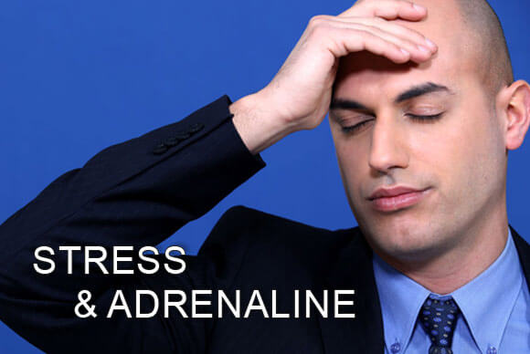 Blog Stress and Adrenaline, jobs and sexual life