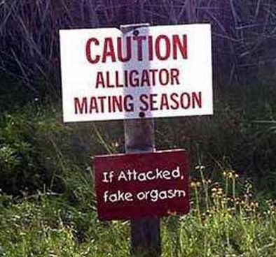 Men Fake Orgasms