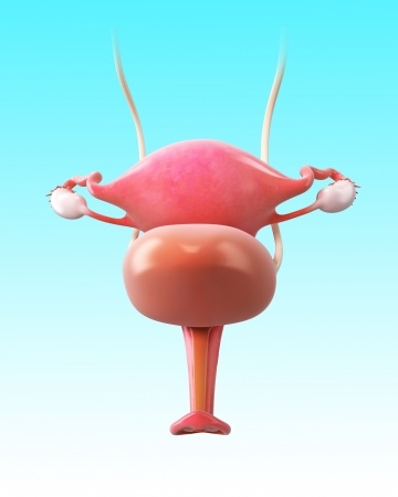 Painful Bladder Syndrome 