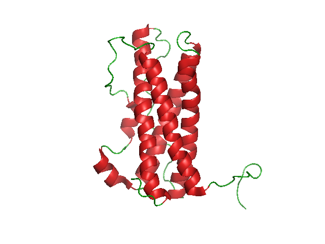 female hormones, prolactin