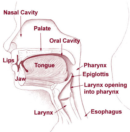 Spanx Health Concerns Image