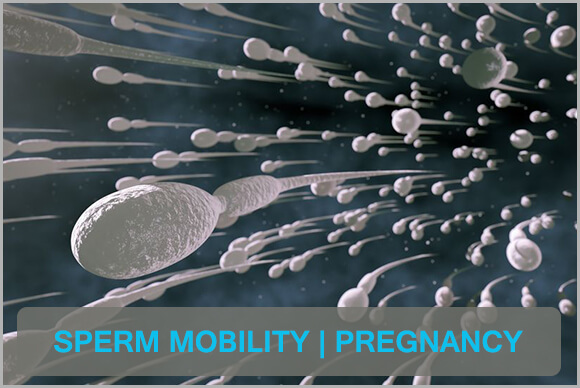 Sperm Mobility | Fertility | Pregnancy