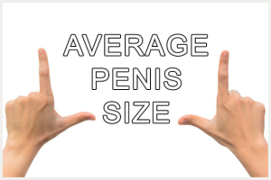 penis-size Image