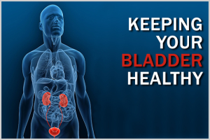 Trasparent Picture of the Bladder Sysetme Wokring working to Maintain good Bladder Health