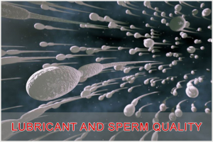Lubricant and Sperm Quality