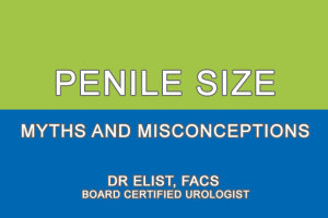 penis size myths image