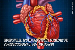 Cardiovascular Image