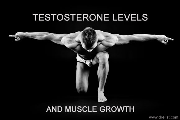 How Testosterone Levels Affect Muscle Growth