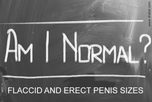 Flaccid and Erect Penis Sizes Image