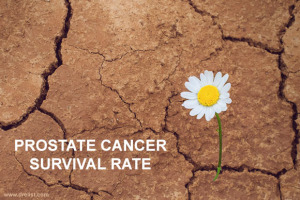 Prostate Cancer Survival Rate Image