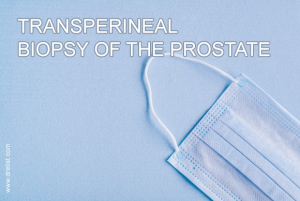 Transperineal Biopsy of the Prostate