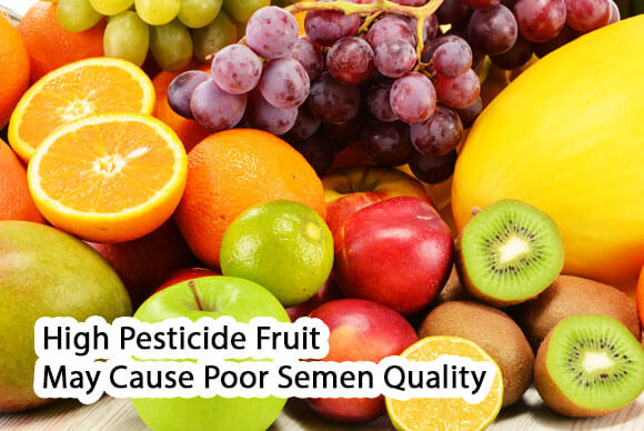 High Pesticide Fruit May Cause Poor Semen Quality