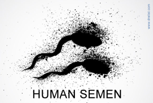 Human Semen Image