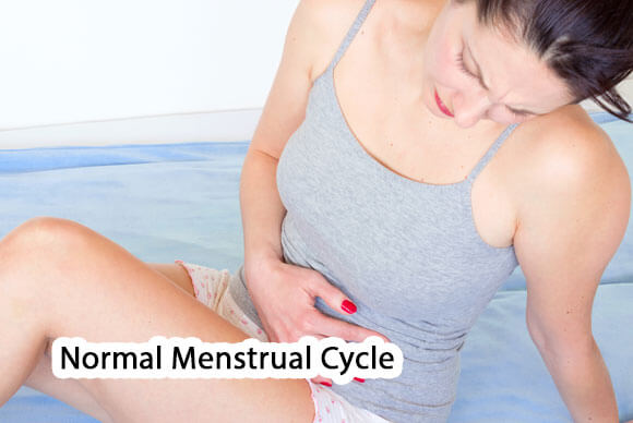 Normal Menstrual Cycle