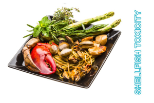 Shellfish Toxicity Image