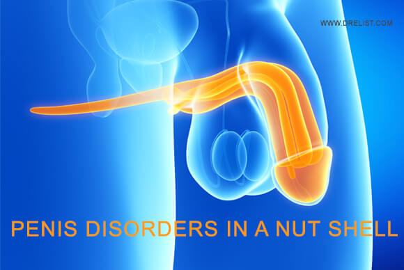Penis disorders in a Nut Shell
