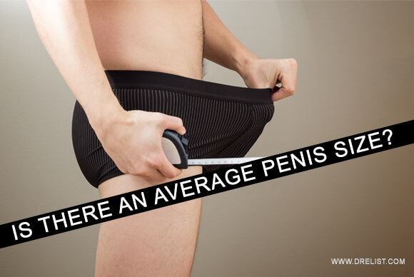 Is There An Average Penis Size?