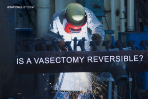 Is a Vasectomy removable image