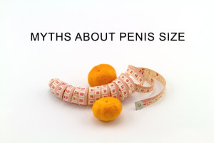 Myths About Penis Size image
