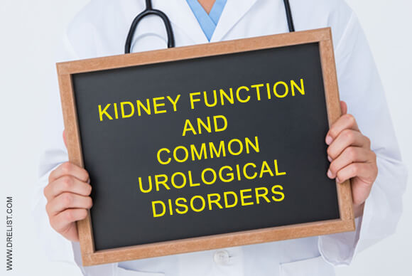 Kidney Function And Common Urological Disorders