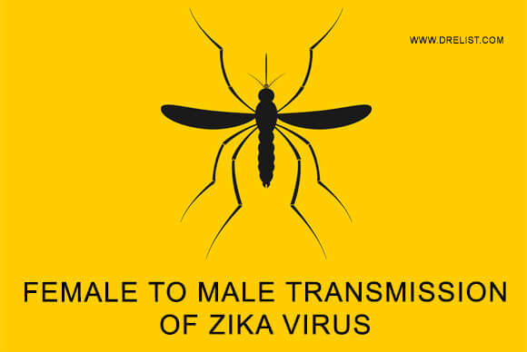 Female To Male Transmission Of Zika Virus