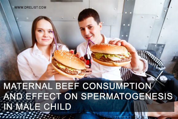 Maternal Beef Consumption And Effect On Spermatogenesis In Male Child