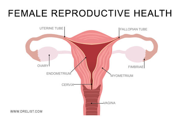 Female Reproductive Health