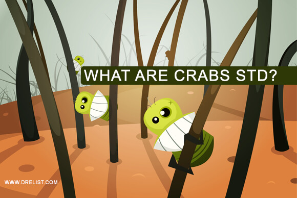 What Are Crabs STD?