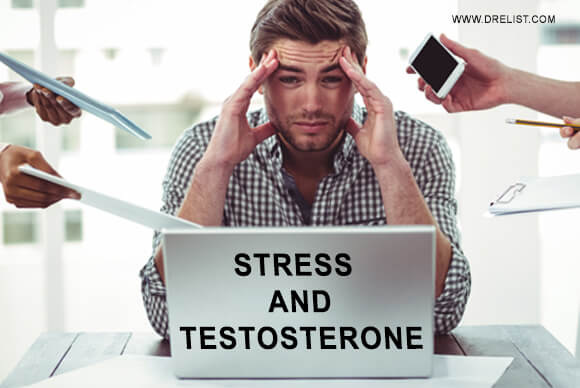 Stress And Testosterone