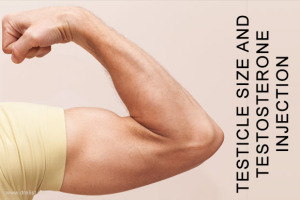 Testicle size and testosterone injection image