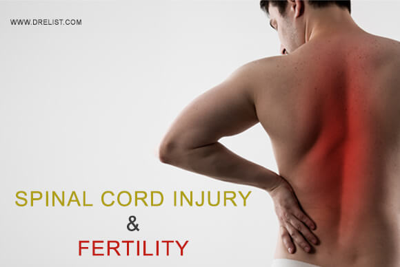 Spinal Cord Injury And Fertility