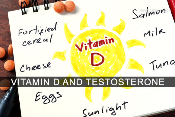 Vitamin D And Testosterone