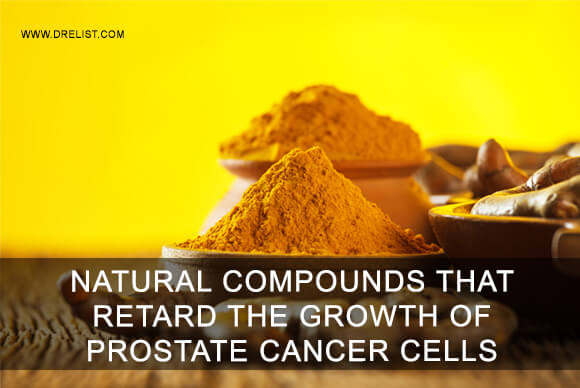 Natural Compounds That Retard The Growth Of Prostate Cancer Cells