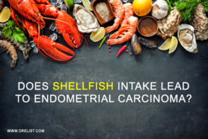 Does Shellfish Intake Lead To Endometrial Carcinoma? Image