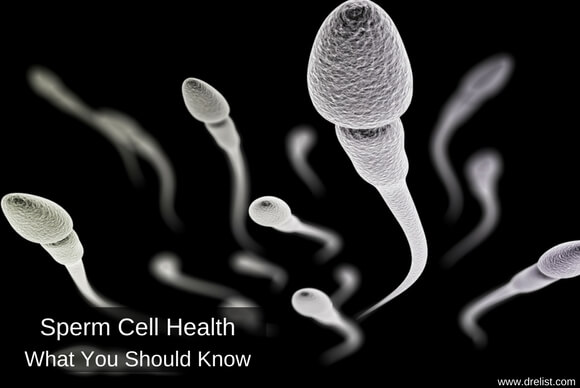 Sperm Cells Health - What To Know?