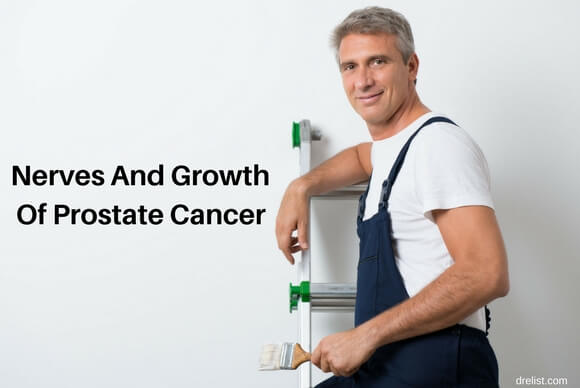 Nerves and Growth of Prostate Cancer