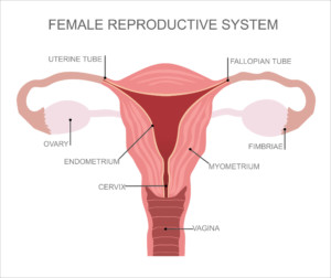 Vaginal Gas