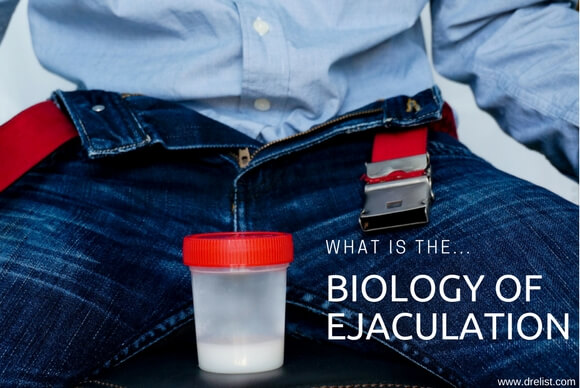 Biology of Ejaculation