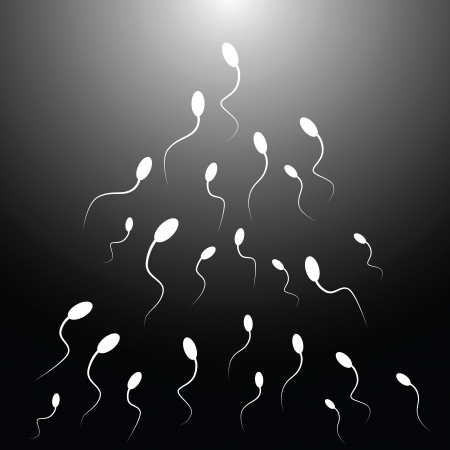 biology of ejaculation
