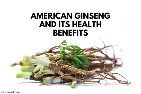 American Ginseng and its Health Benefits