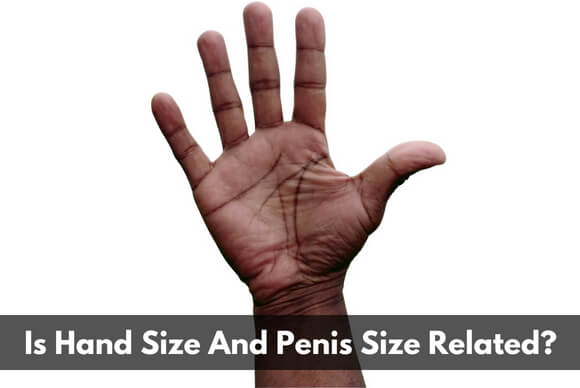Is Hand Size And Penis Size Related?