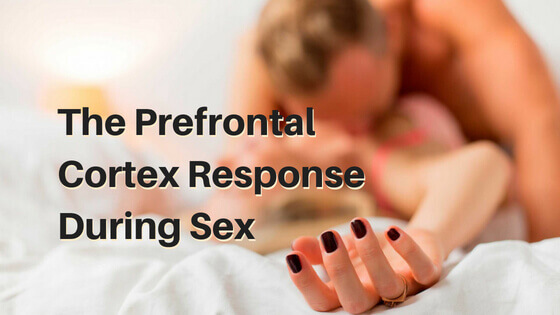 The Prefrontal Cortex Response During Sex