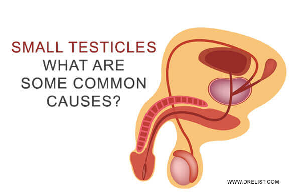 Small Testicles – What Are Some Common Causes?