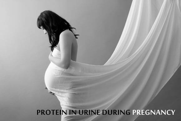 Protein in Urine During Pregnancy