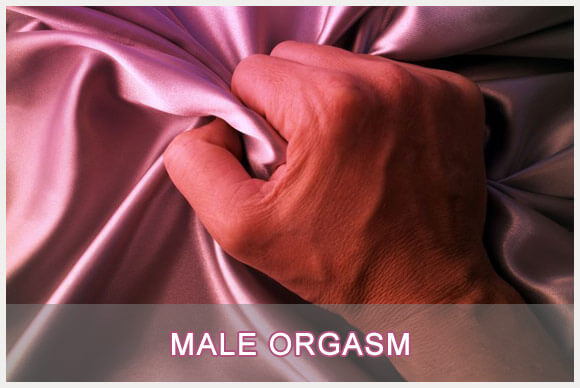 The Male Orgasm