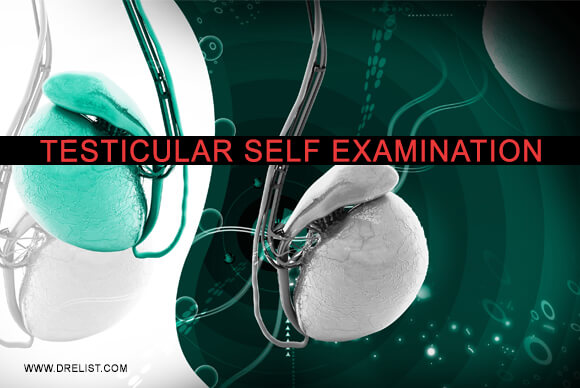 Testicular Self Examination